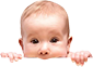 Kuva baby